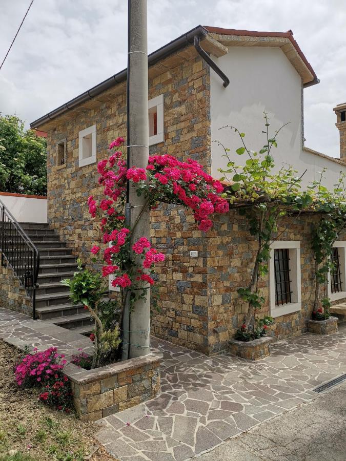 Kmetija Jogan, Wines & Apartments Pobegi エクステリア 写真
